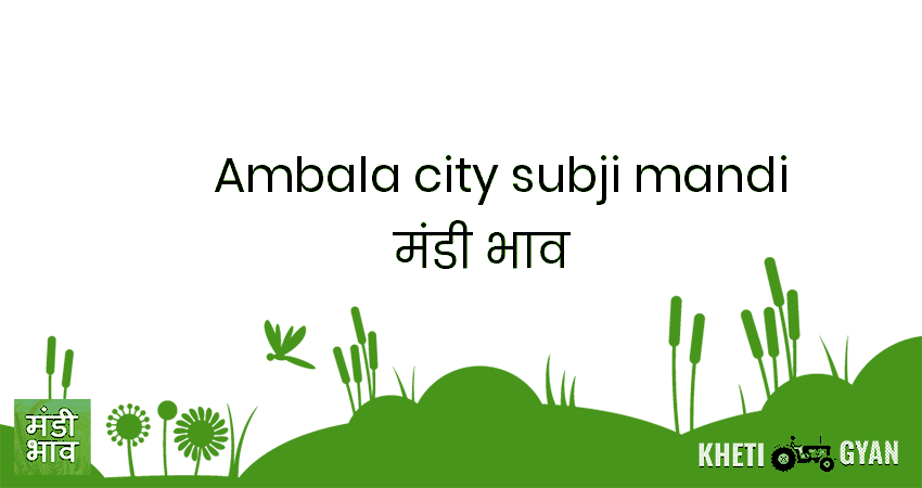 Ambala City(Subji Mandi) मंडी भाव की ताज़ा तस्वीर